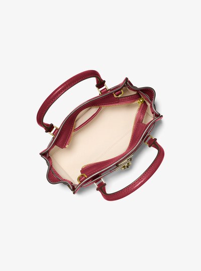 Hamilton Moderne Extra-Small Leather Crossbody Bag in DEEP RED | Michael Kors