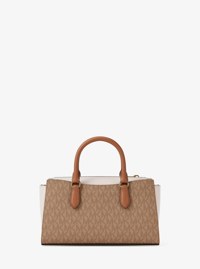 Arden Small Color-Block Signature Logo Messenger Bag