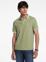 OLIVE HEATHER