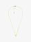DORADO