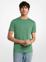PINE GREEN