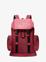 CERISE