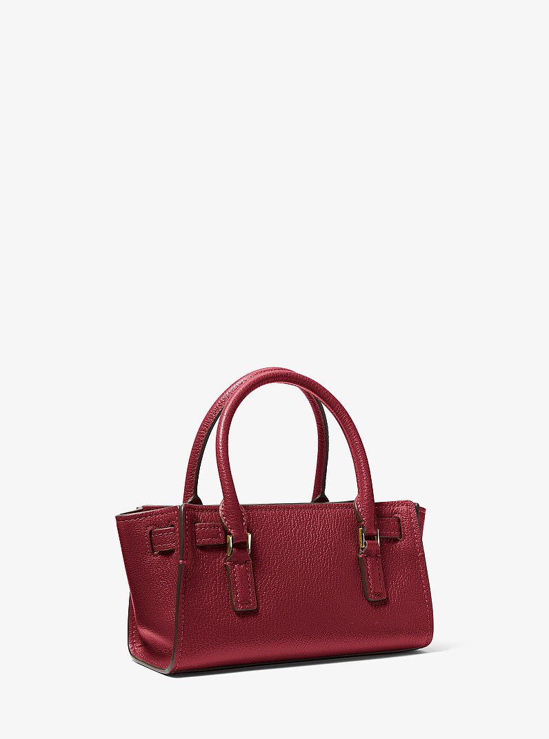 Hamilton Moderne Extra-Small Leather Crossbody Bag in DEEP RED | Michael Kors