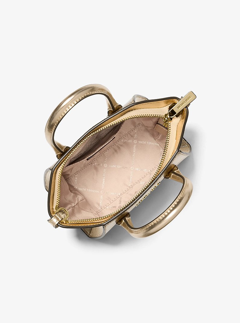 Avril Extra-Small Metallic Leather Satchel in PALE GOLD | Michael Kors