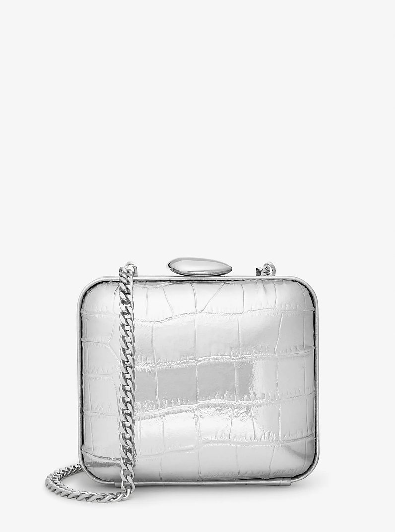 Minaudi&egrave;re Tina mini in pelle metallizzata stampa pitone in ARGENTO | Michael Kors