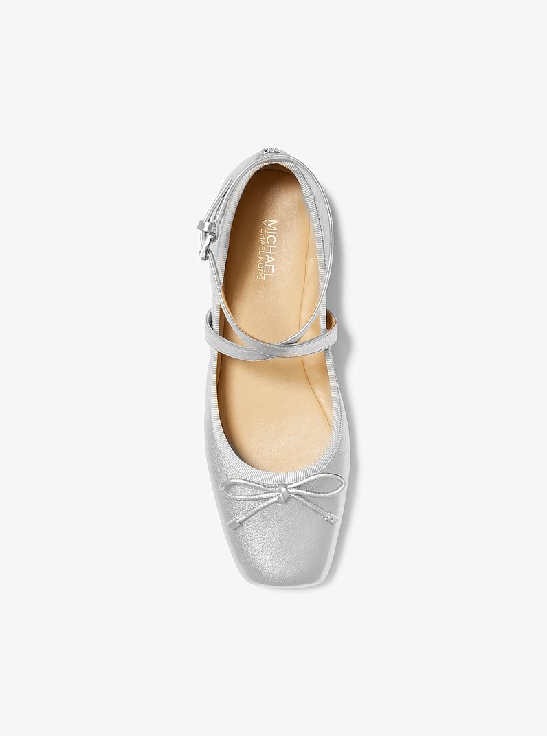 Collette Metallic Leather Ballet Flat