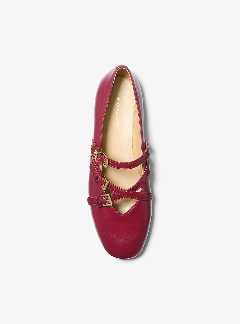 Indy Flex Leather Ballet Flat in MULBERRY | Michael Kors