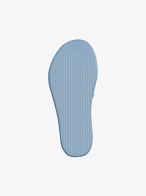 Palmer Ombr&eacute; Signature Logo Slide Sandal