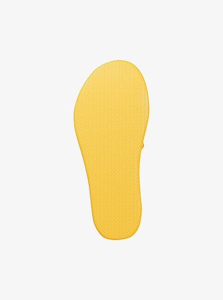 Palmer Ombr&eacute; Signature Logo Slide Sandal