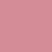 CARNATION